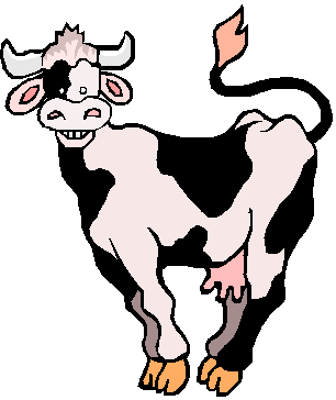 Cow Pic