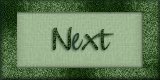 Next Page