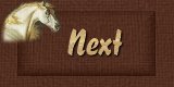 Next Page