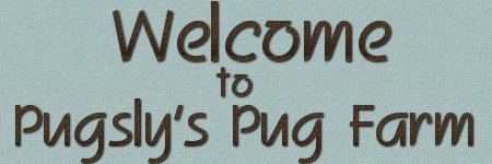 Pug World